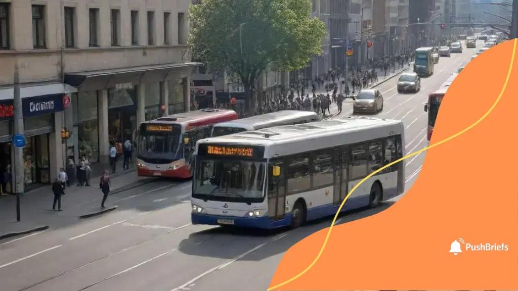 Public transport costs: understanding the true price